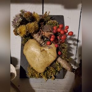 All natural Moss, seeds, rock Home decor